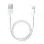Apple | Male | 4 pin USB Type A | Male | Apple Lightning | 0.5 m - 2